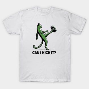 can i kick it - cats T-Shirt